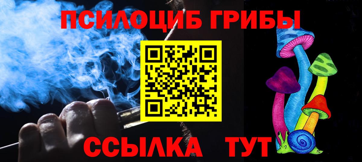 Псилоцибиновые грибы Cubensis  Галлюциногенные грибы мухоморы  Вход с VPN  Осинники 